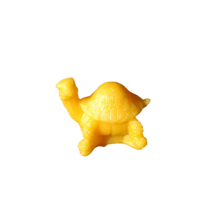 Kilpkonn